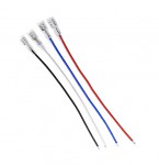 ��ǰ ������